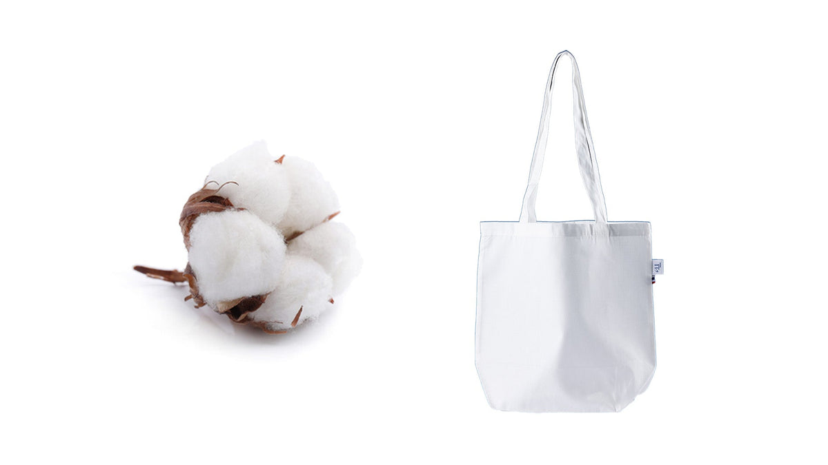 Why TreeTote Is Not Just Another Cotton Tote: The Hidden Water Footprint of “Eco” Bags